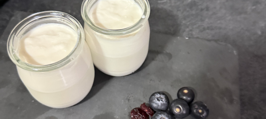 ? Yogur casero fermentado en Thermomix&reg; : salud real hecha en casa