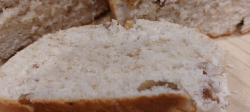 PAN DE VIENA CON FRUTOS SECOS con Thermomix® 