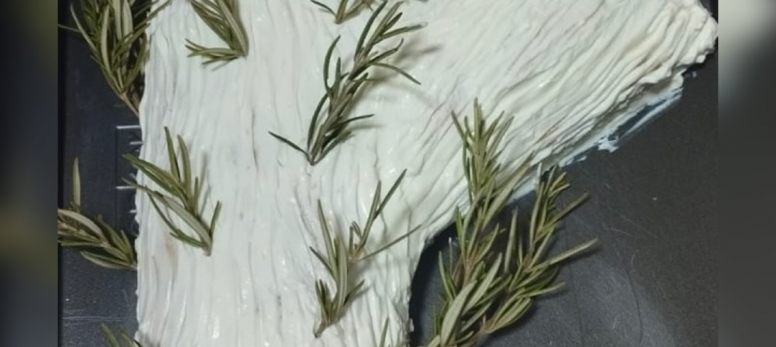 TRONCO SALADO DE NAVIDAD