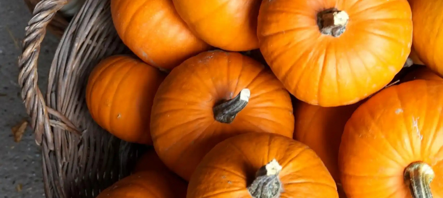 Cómo manipular una calabaza sin morir en el intento