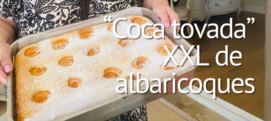 COCA TOVADA XXL de ALBARICOQUES