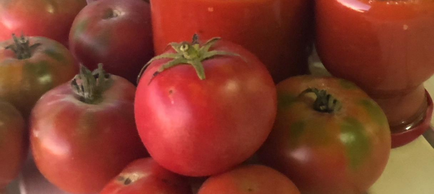 CONSERVA DE SALSA DE TOMATE