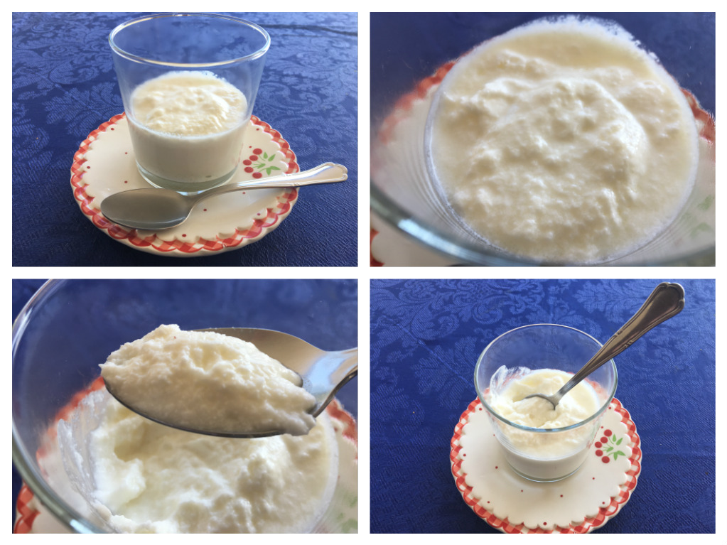 Cómo hacer yogur con Thermomix® 