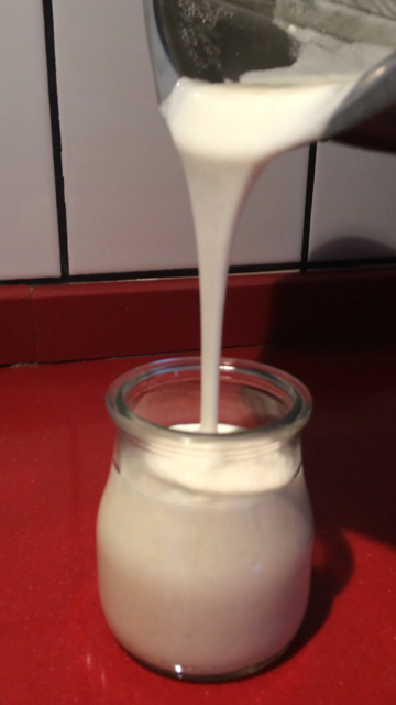 YOGUR NATURAL