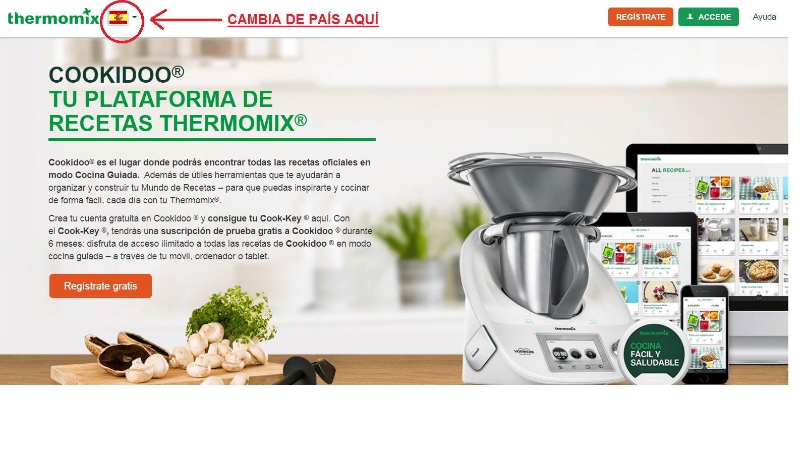 Chai latté - Cookidoo® – la plataforma de recetas oficial de Thermomix®