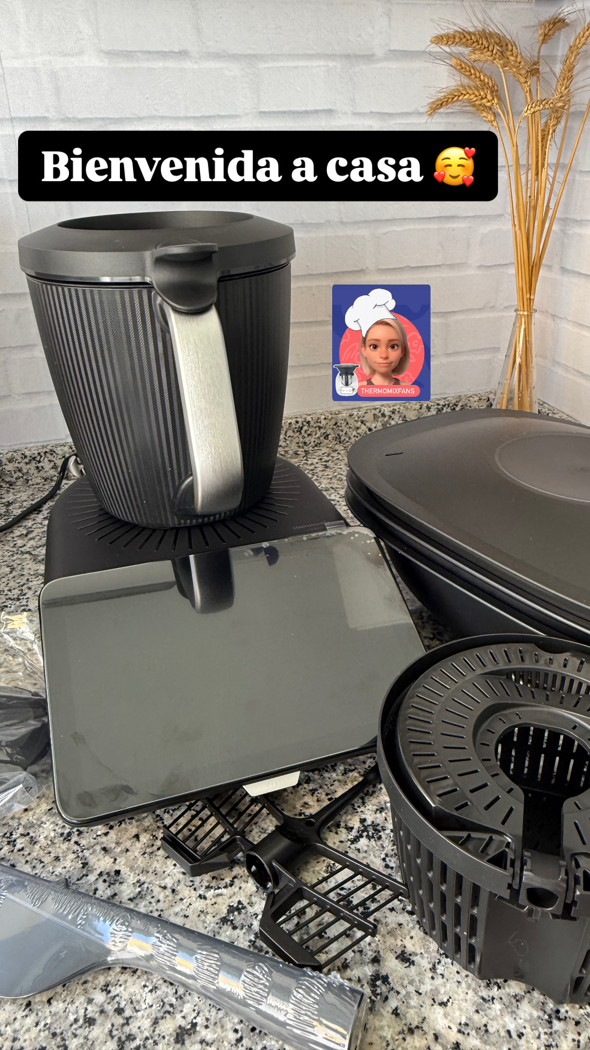 ¿Qué incluye el NUEVO Thermomix® TM7?-1