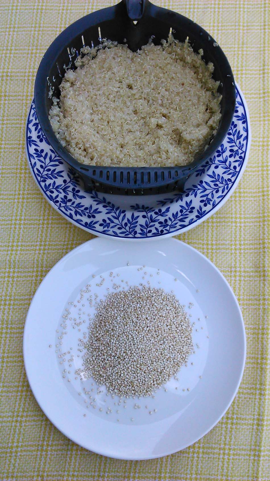 Ensalada de quinoa con vinagreta de nueces