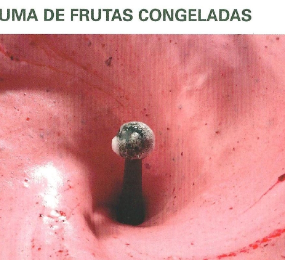 ESPUMA DE FRUTAS CONGELADAS THERMOMIX TM 31