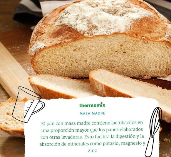 Masa madre Thermomix® Badajoz, Mérida, Calamonte