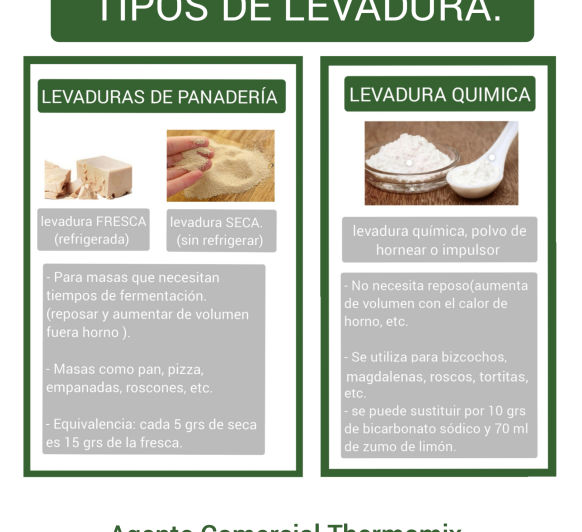 TIPOS DE LEVADURA