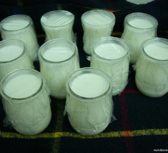 Yogur cremoso Light Thermomix