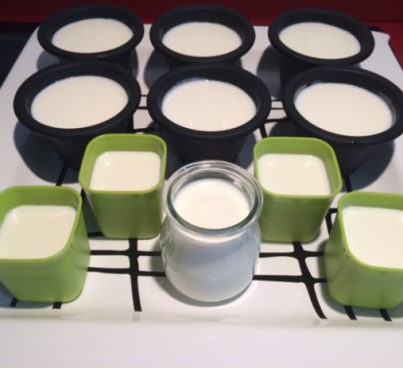 YOGUR NATURAL