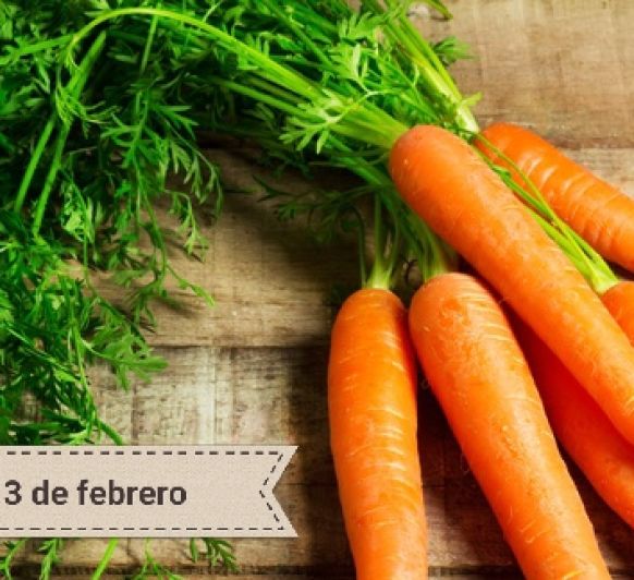 Día Internacional de la Zanahoría