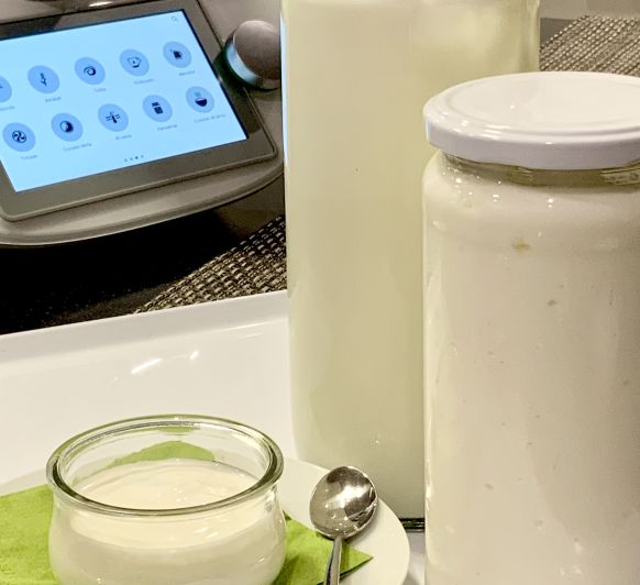 Yogur natural cremoso XL para TM6 (15-20 raciones)